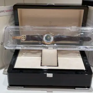 Patek Philippe 39.5mm World Time “Africa, Europe, and America Closionne” Enamel Dial Yellow Gold in box